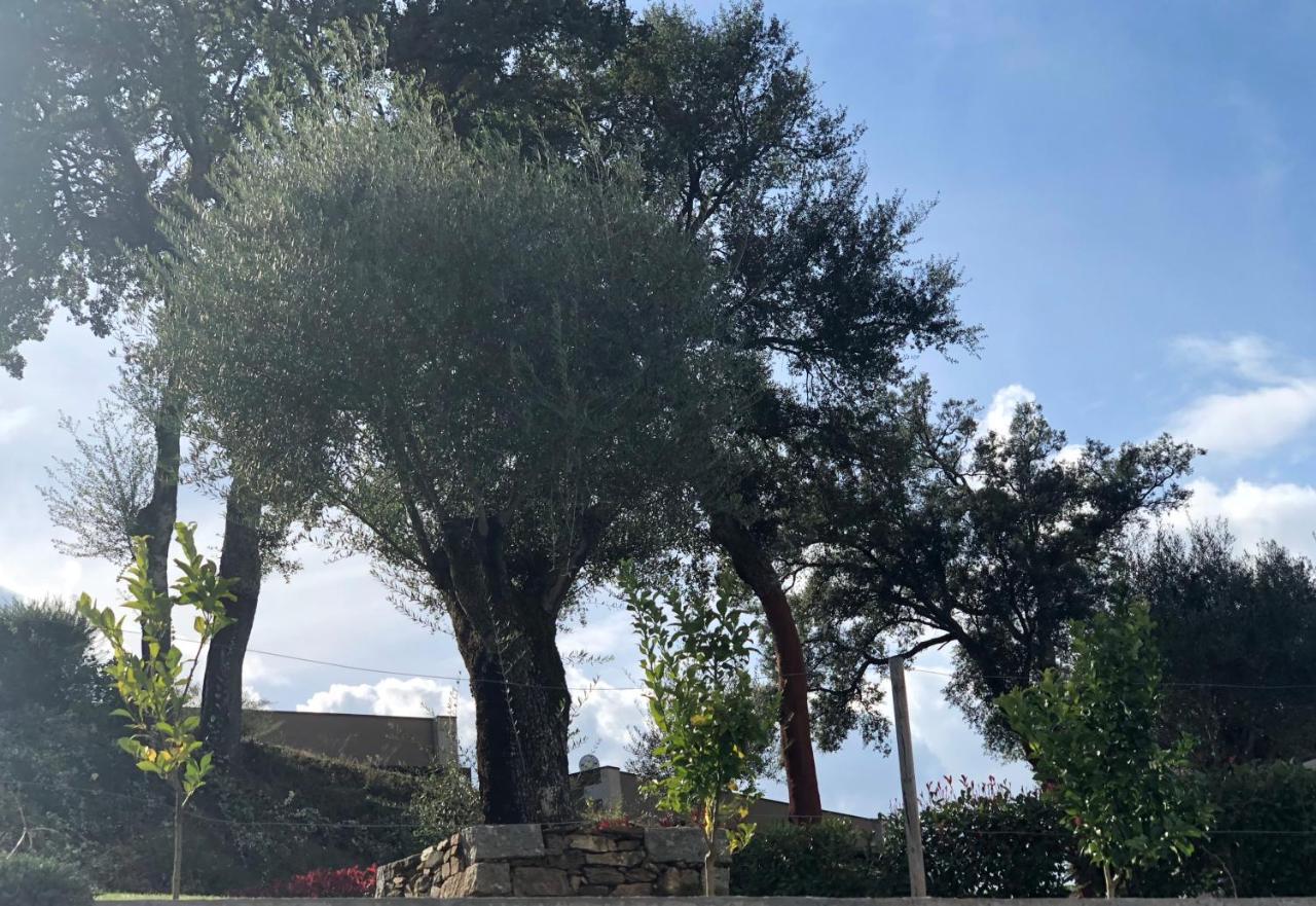 Bosque Da Harmonia Konuk evi Arco de Baulhe Dış mekan fotoğraf